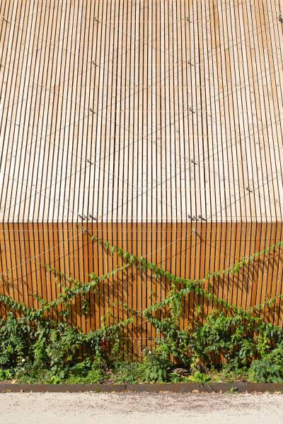 Végétalisation des façades